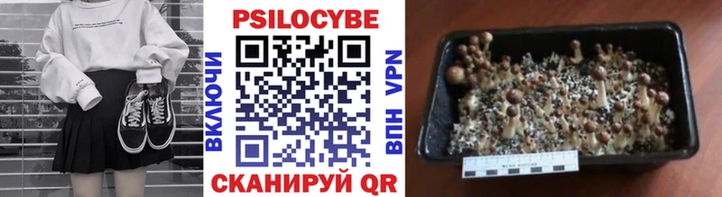 Галлюциногенные грибы Cubensis  купить наркоту  Пошехонье 